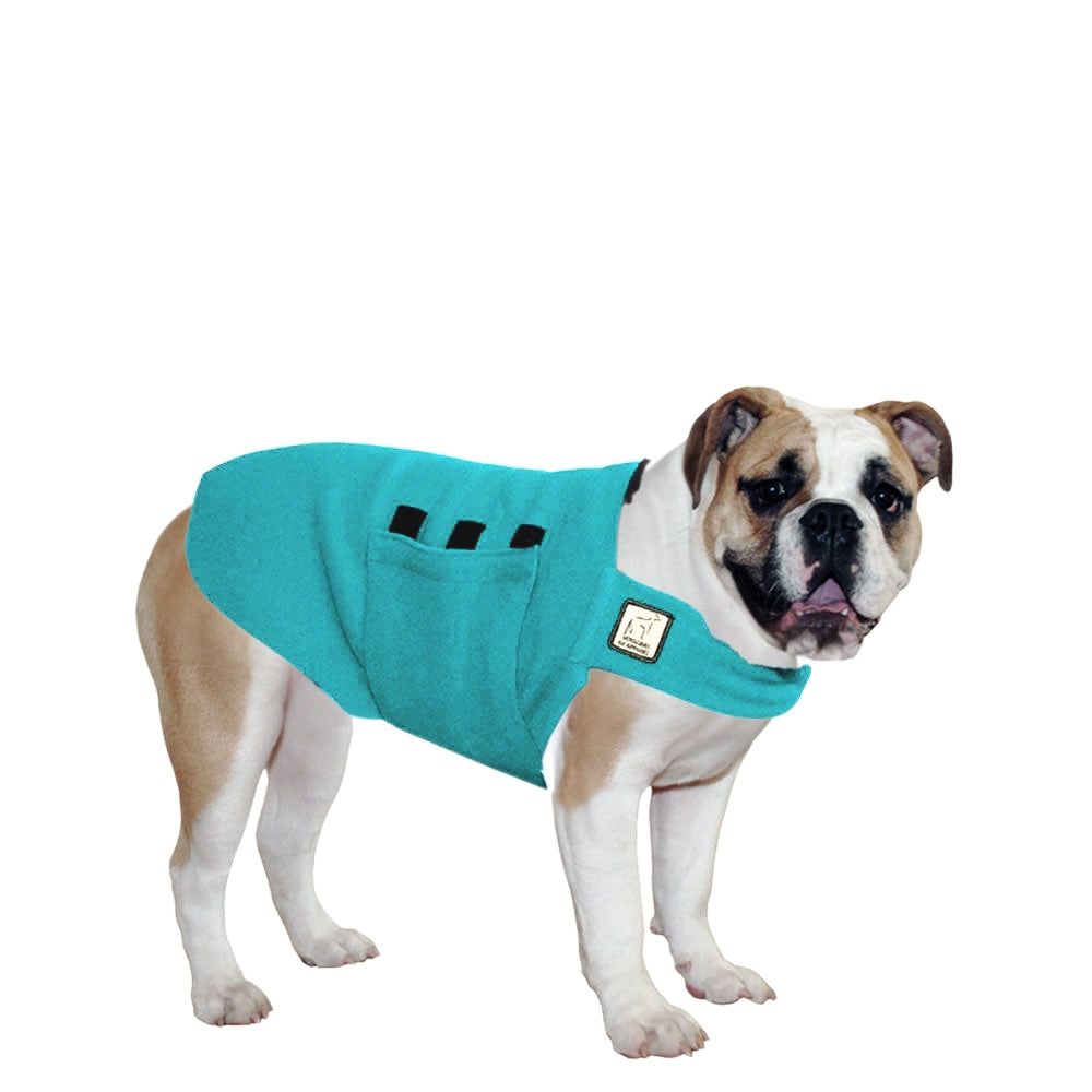 English Bulldog Tummy Warmer
