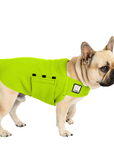 French Bulldog Tummy Warmer