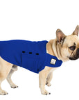 French Bulldog Tummy Warmer