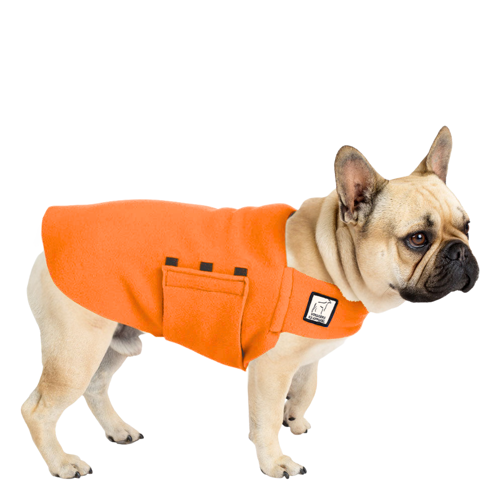 French Bulldog Tummy Warmer