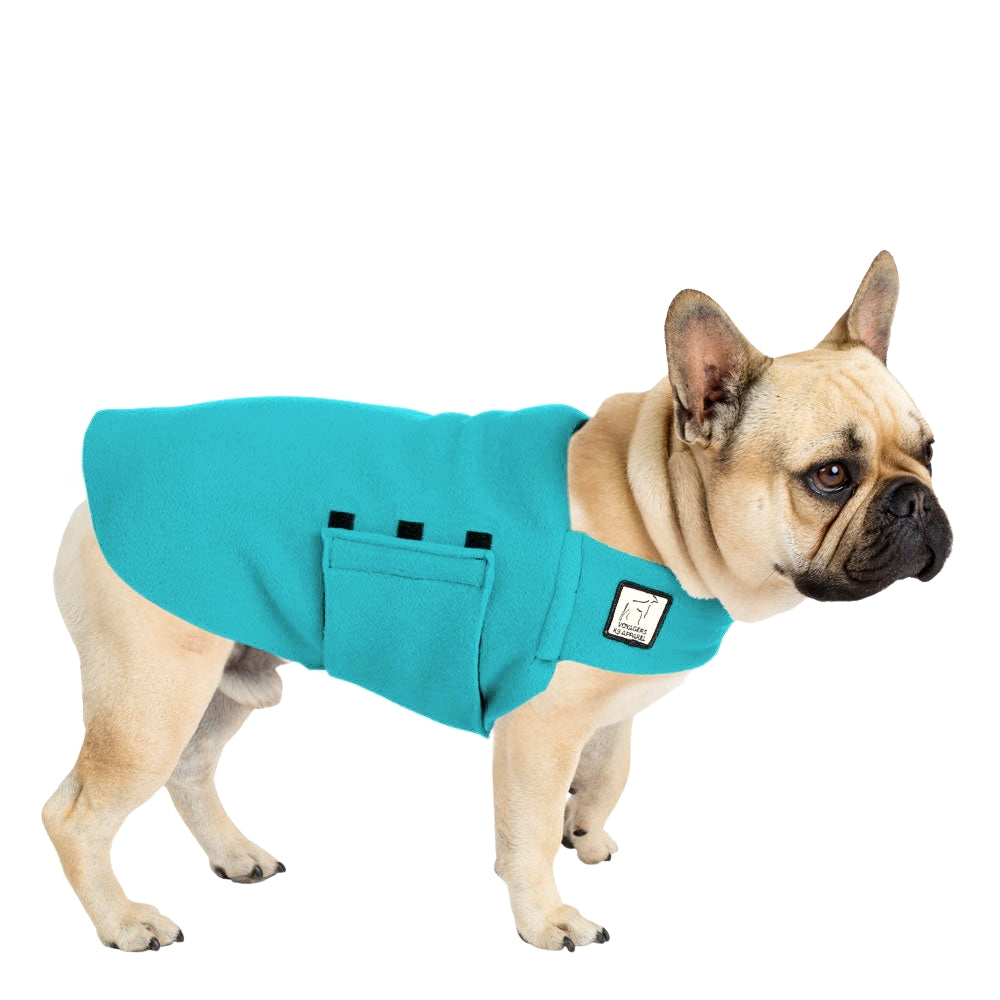French Bulldog Tummy Warmer