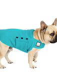 French Bulldog Tummy Warmer