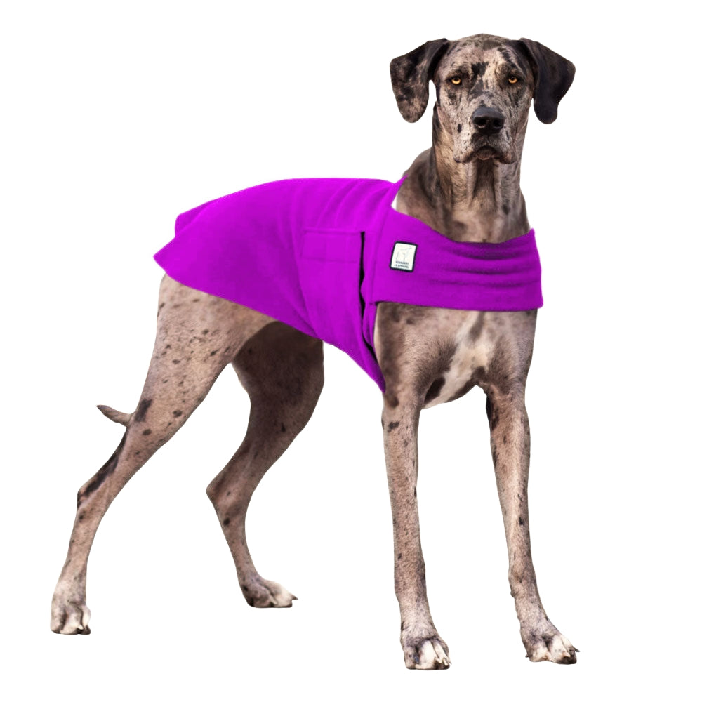Great Dane Tummy Warmer