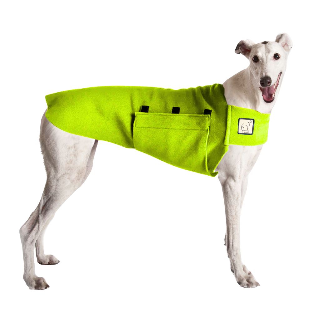 Greyhound Tummy Warmer