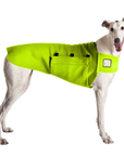 Greyhound Tummy Warmer