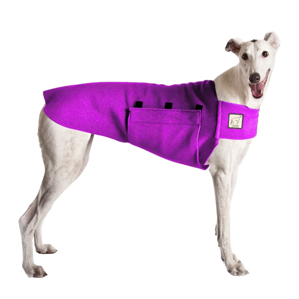 Greyhound Tummy Warmer