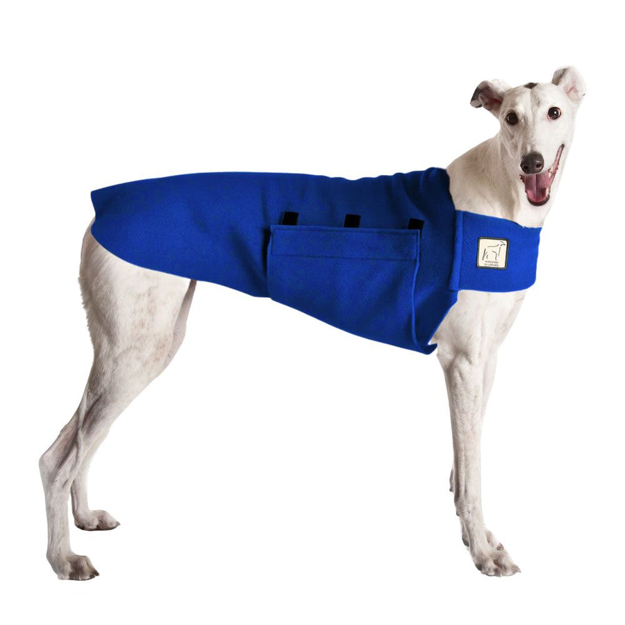 Greyhound Tummy Warmer Dog Vest – Voyagers K9 Apparel