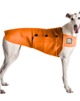 Greyhound Tummy Warmer