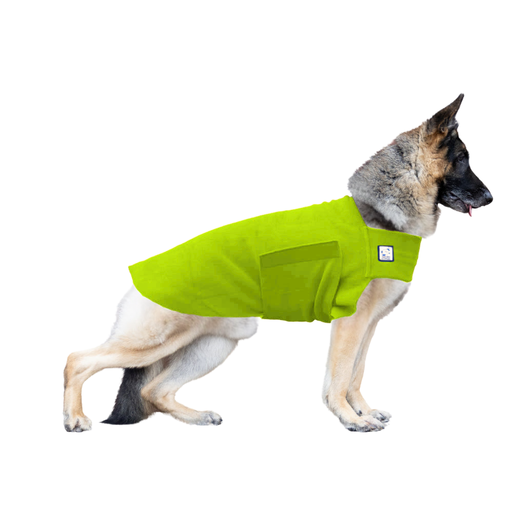 German Shepherd Tummy Warmer