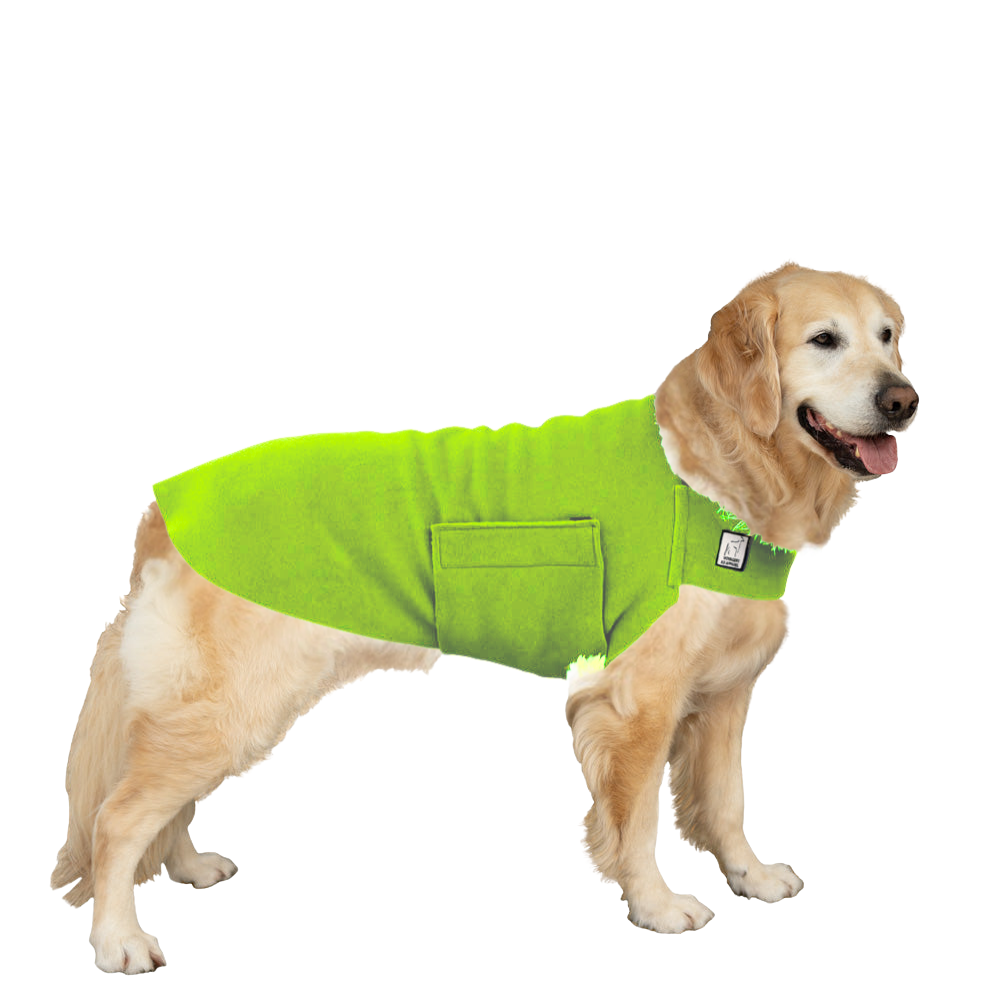 Golden Retriever Tummy Warmer