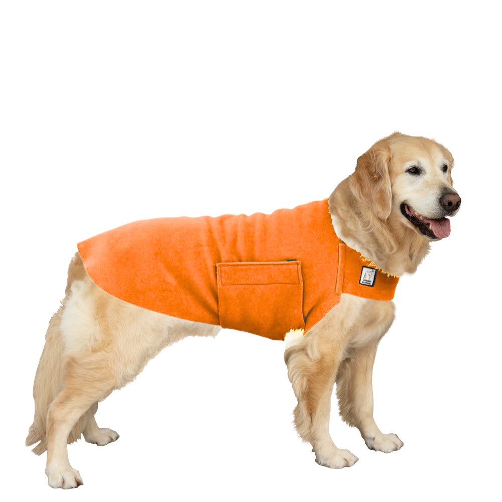 Golden Retriever Tummy Warmer