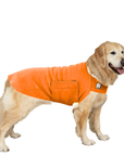 Golden Retriever Tummy Warmer