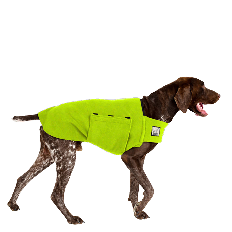 German Shorthaired Pointer Dog Tummy Warmer Dog Vest – Voyagers K9