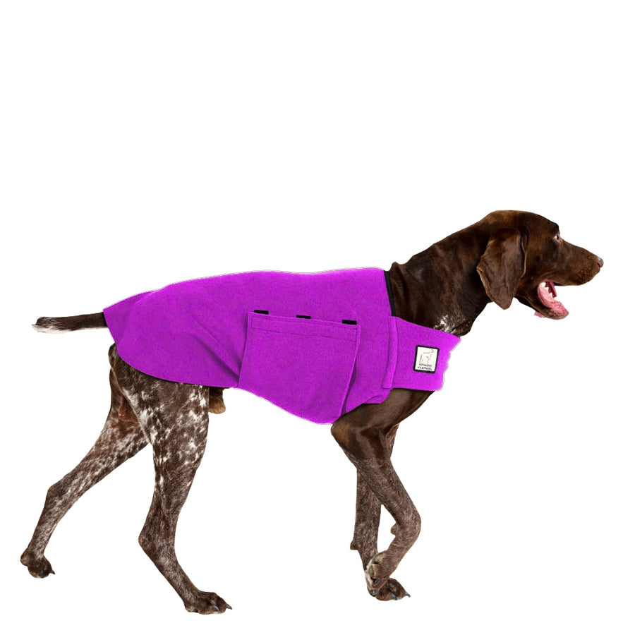 German Shorthaired Pointer Dog Tummy Warmer Dog Vest – Voyagers K9