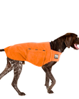 German Shorthaired Pointer Tummy Warmer