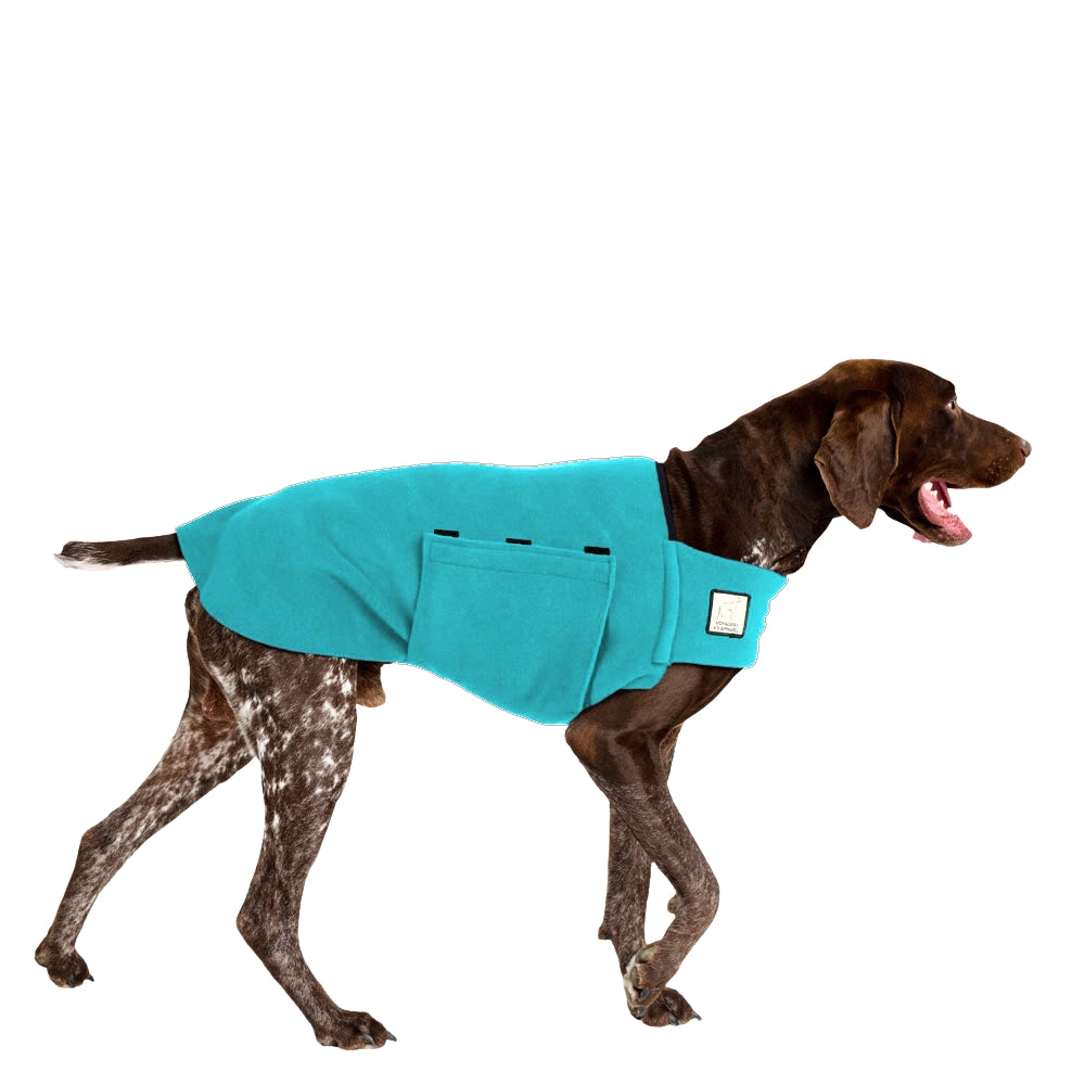 German Shorthaired Pointer Tummy Warmer