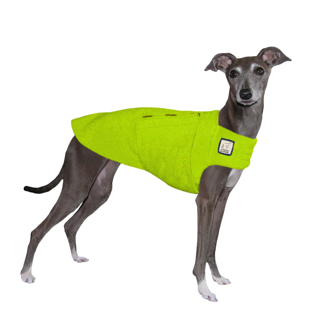 Italian Greyhound Tummy Warmer