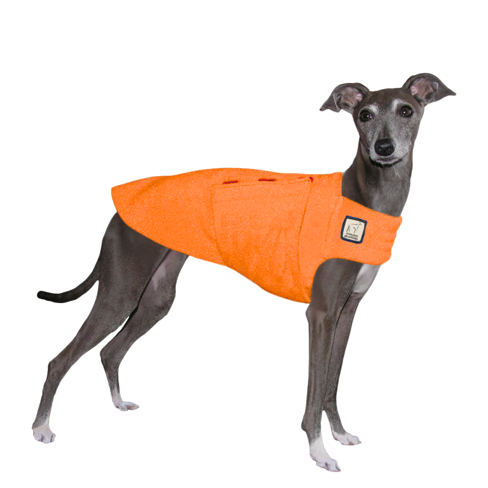Italian Greyhound Tummy Warmer