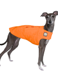 Italian Greyhound Tummy Warmer
