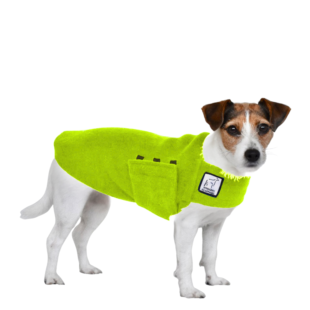 Jack Russell Terrier Tummy Warmer