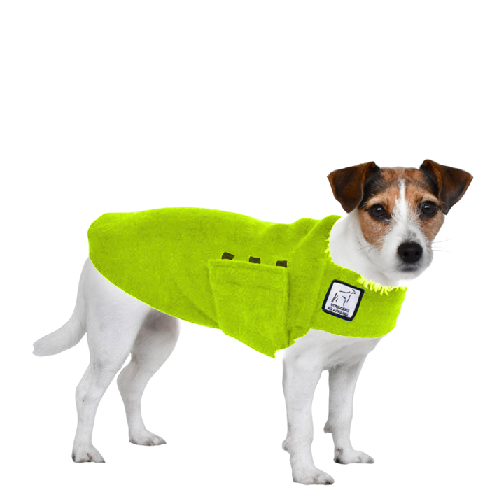 Jack Russell Terrier Tummy Warmer