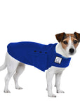 Jack Russell Terrier Tummy Warmer