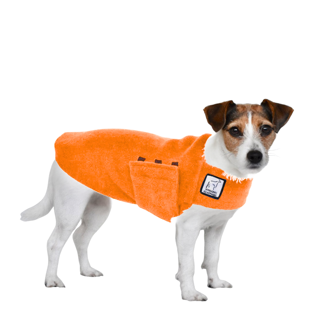 Jack Russell Terrier Tummy Warmer