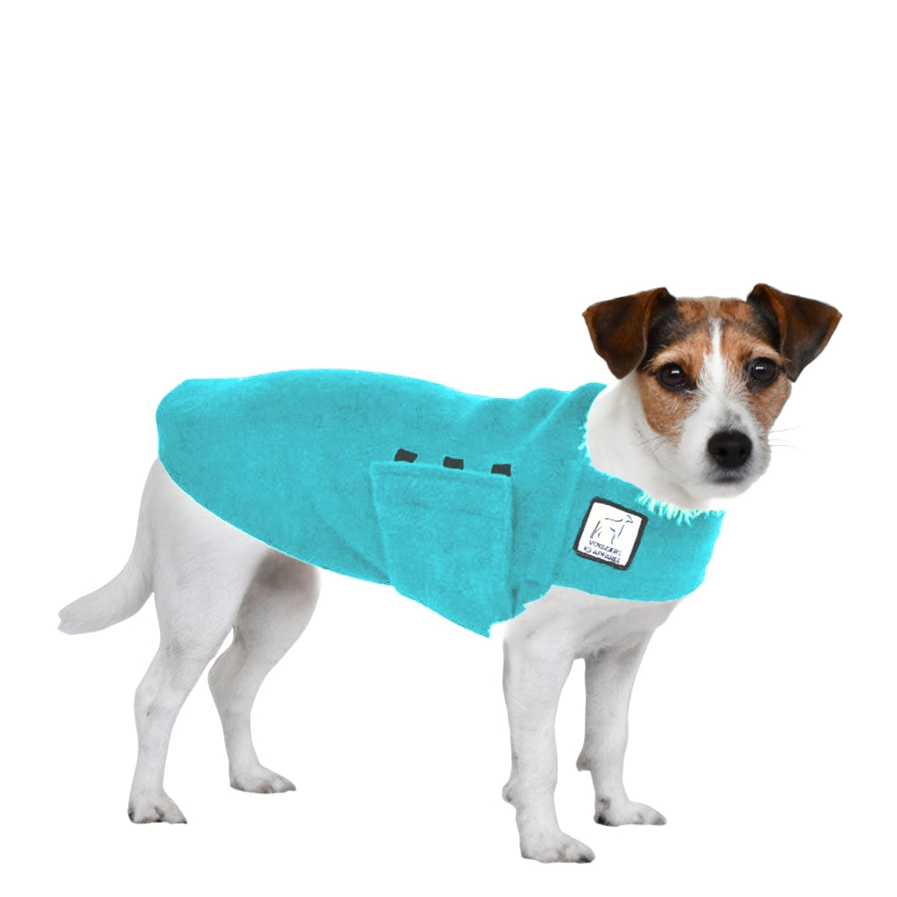 Jack Russell Terrier Tummy Warmer