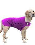Labrador Retriever Tummy Warmer
