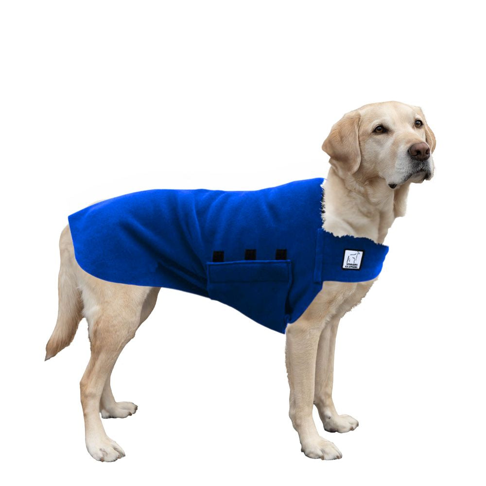 Labrador Retriever Tummy Warmer