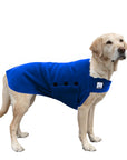 Labrador Retriever Tummy Warmer