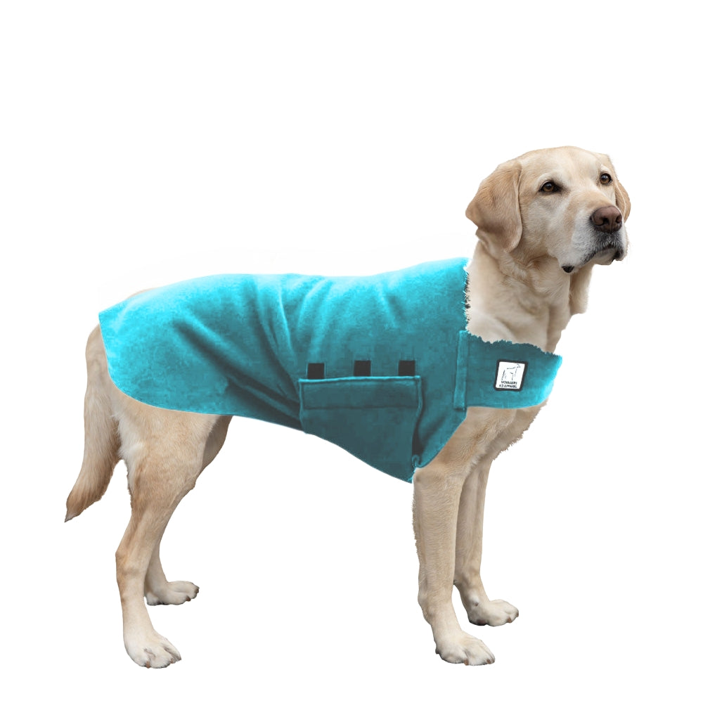 Labrador Retriever Tummy Warmer
