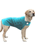 Labrador Retriever Tummy Warmer