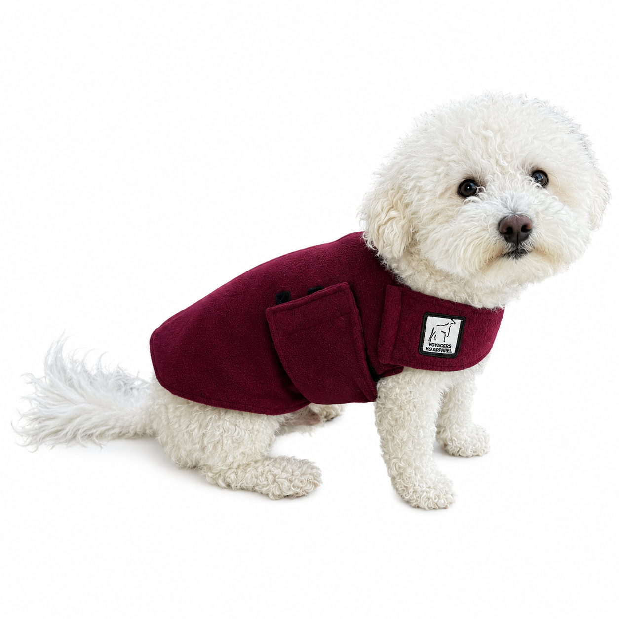 Miniature Poodle Tummy Warmer
