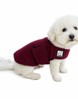 Miniature Poodle Tummy Warmer