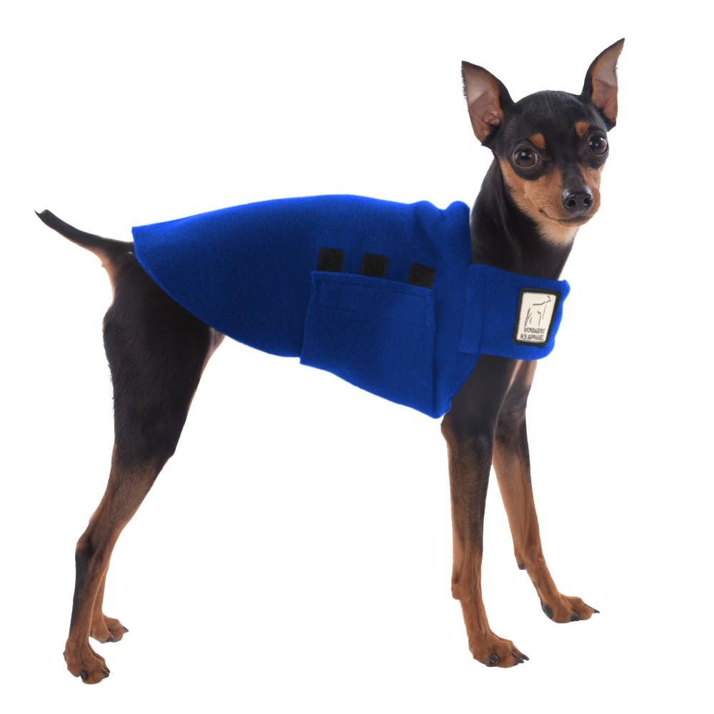Miniature Pinscher Tummy Warmer