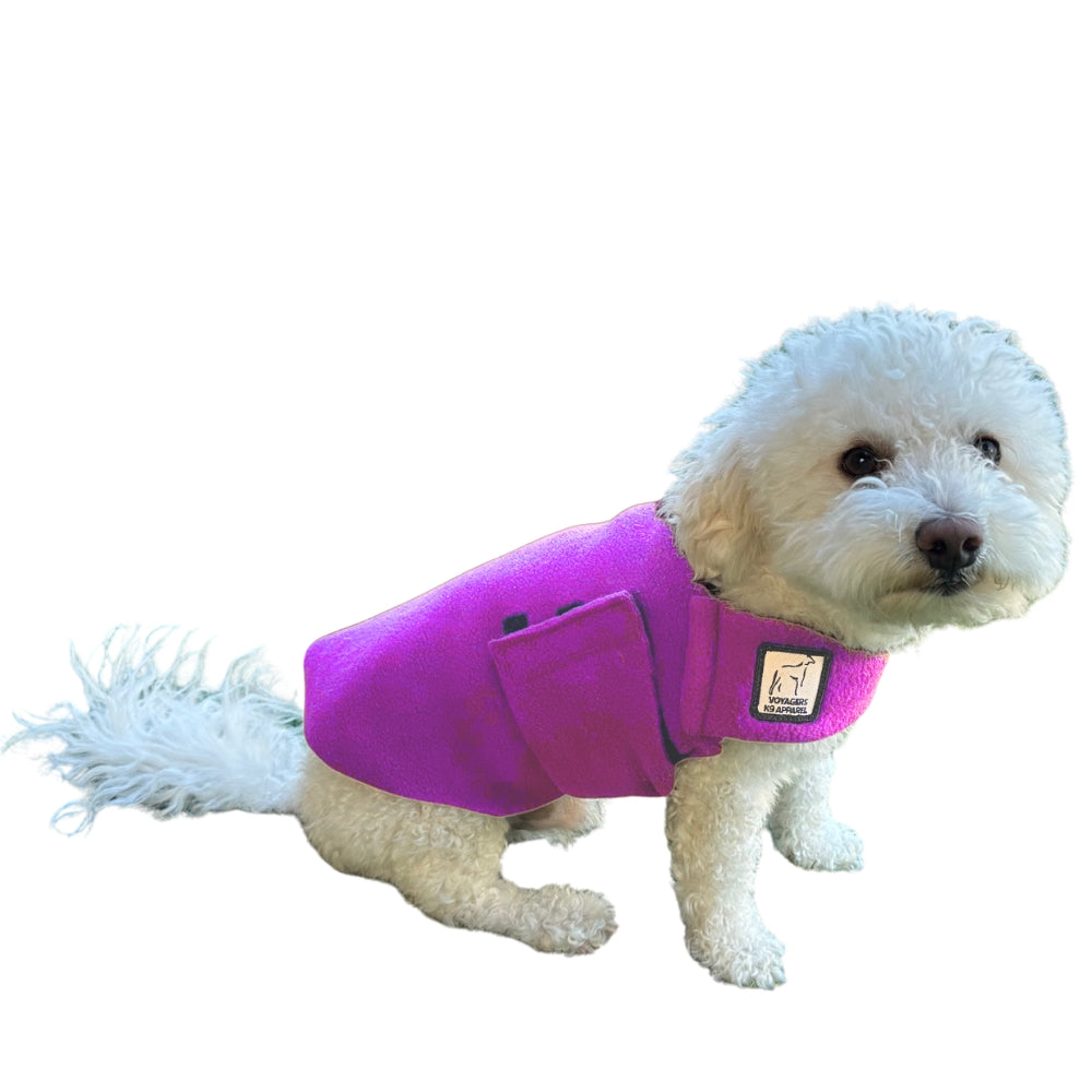 Miniature Poodle Tummy Warmer