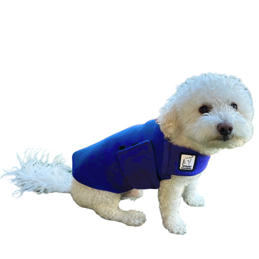 Miniature Poodle Tummy Warmer