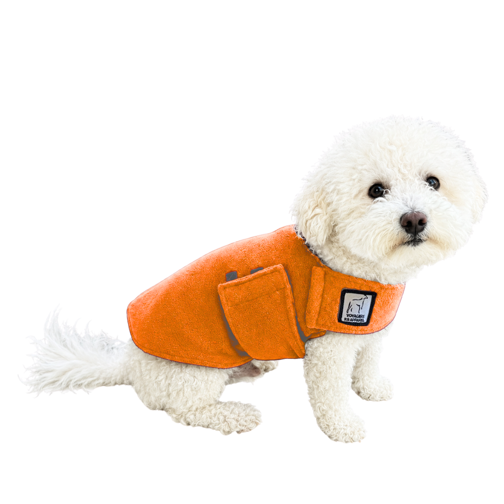 Miniature Poodle Tummy Warmer