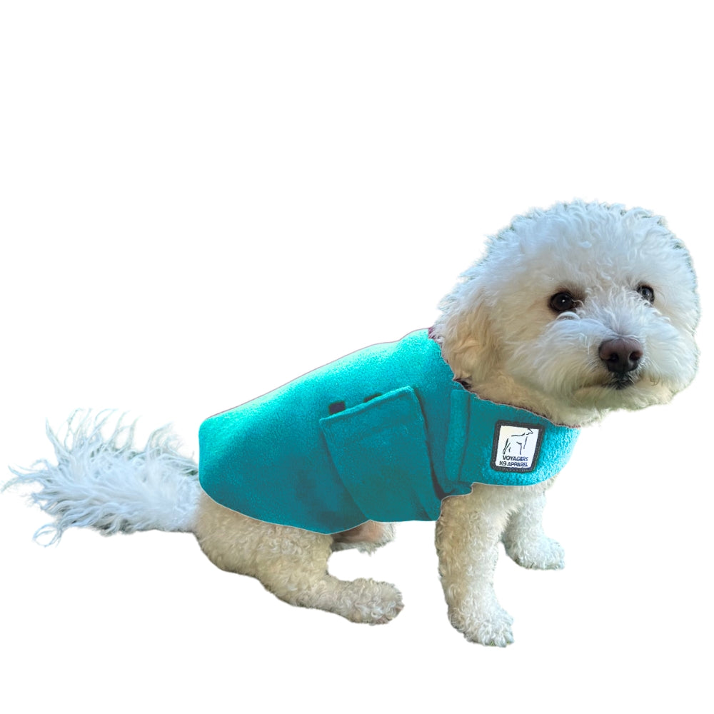 Miniature Poodle Tummy Warmer