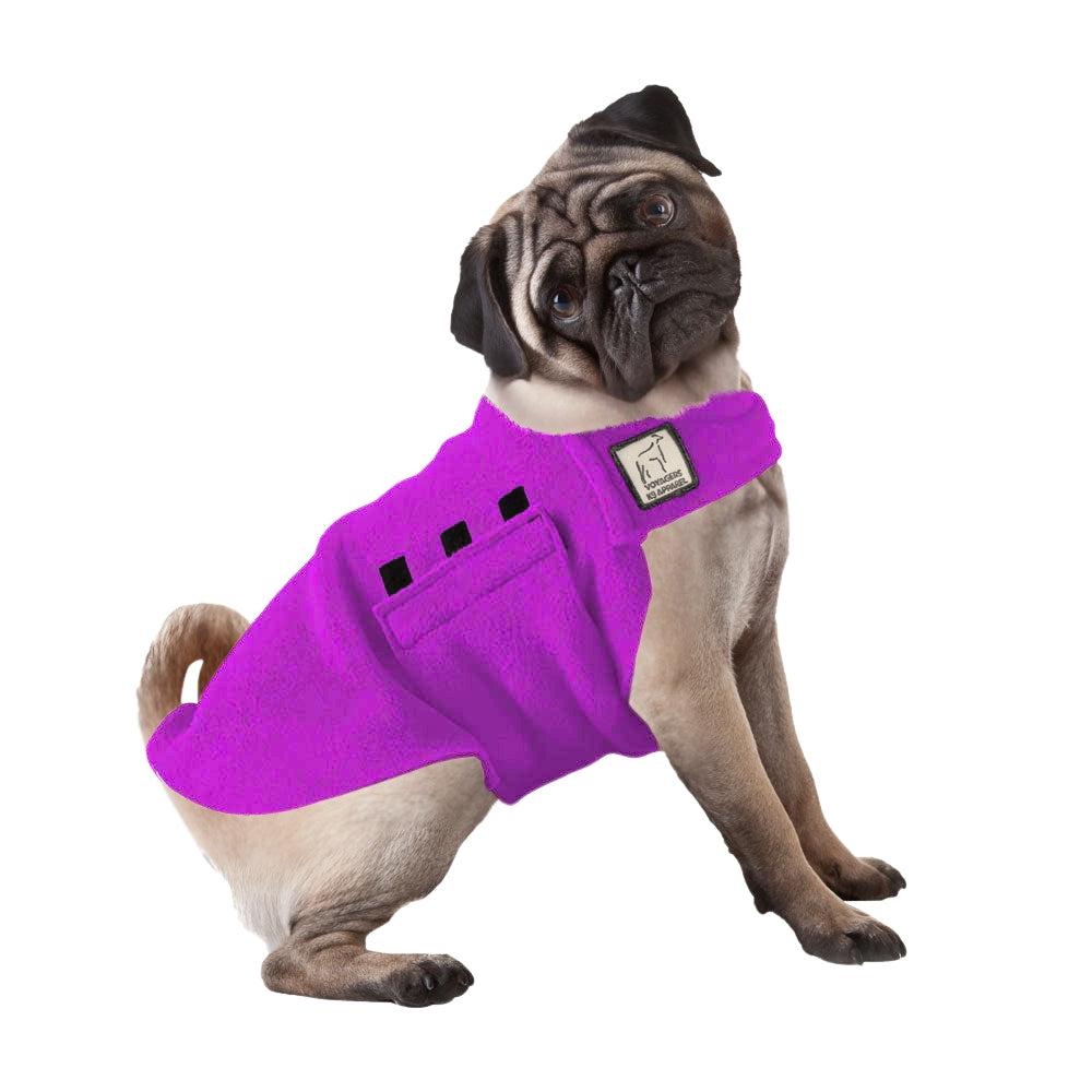 Pug Tummy Warmer