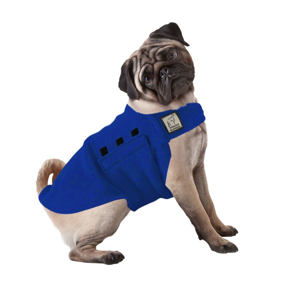 Pug Tummy Warmer