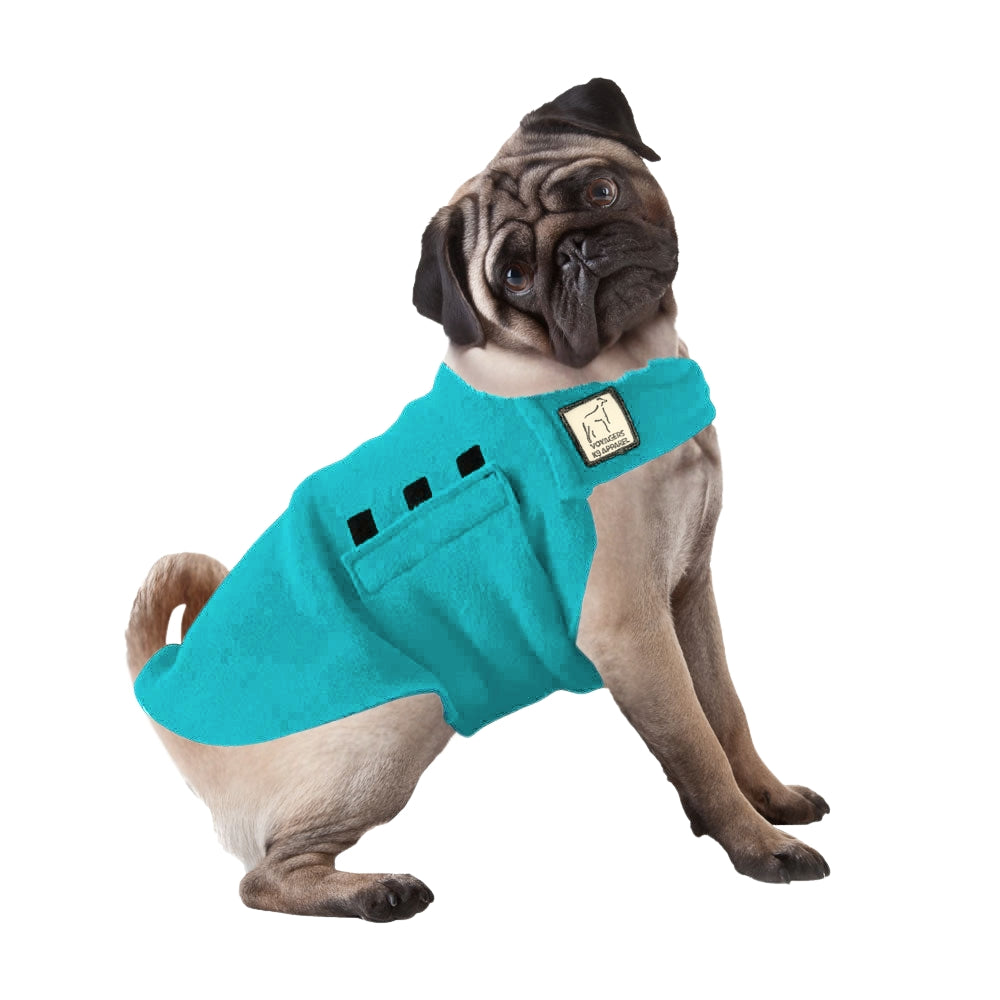 Pug Tummy Warmer