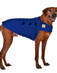 Rhodesian Ridgeback Tummy Warmer