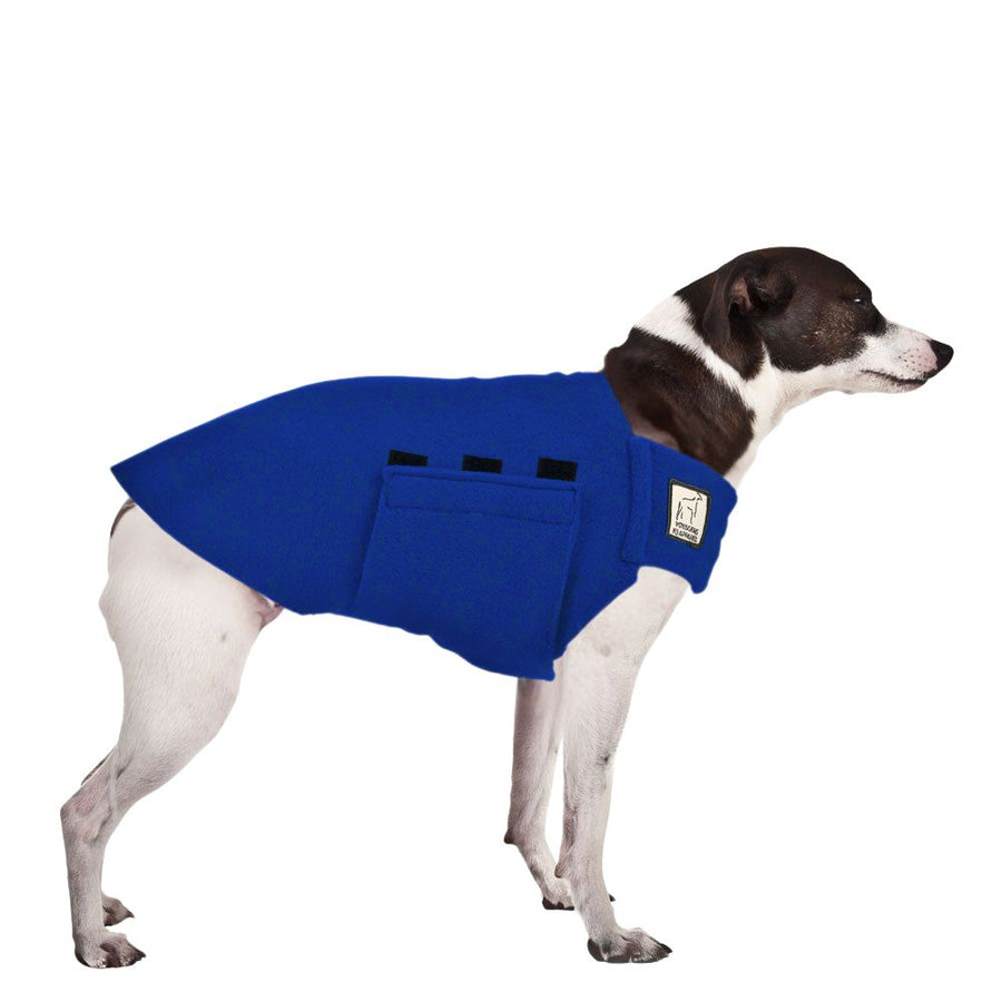 Rat Terrier Tummy Warmer Dog Vest – Voyagers K9 Apparel