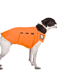 Rat Terrier Tummy Warmer