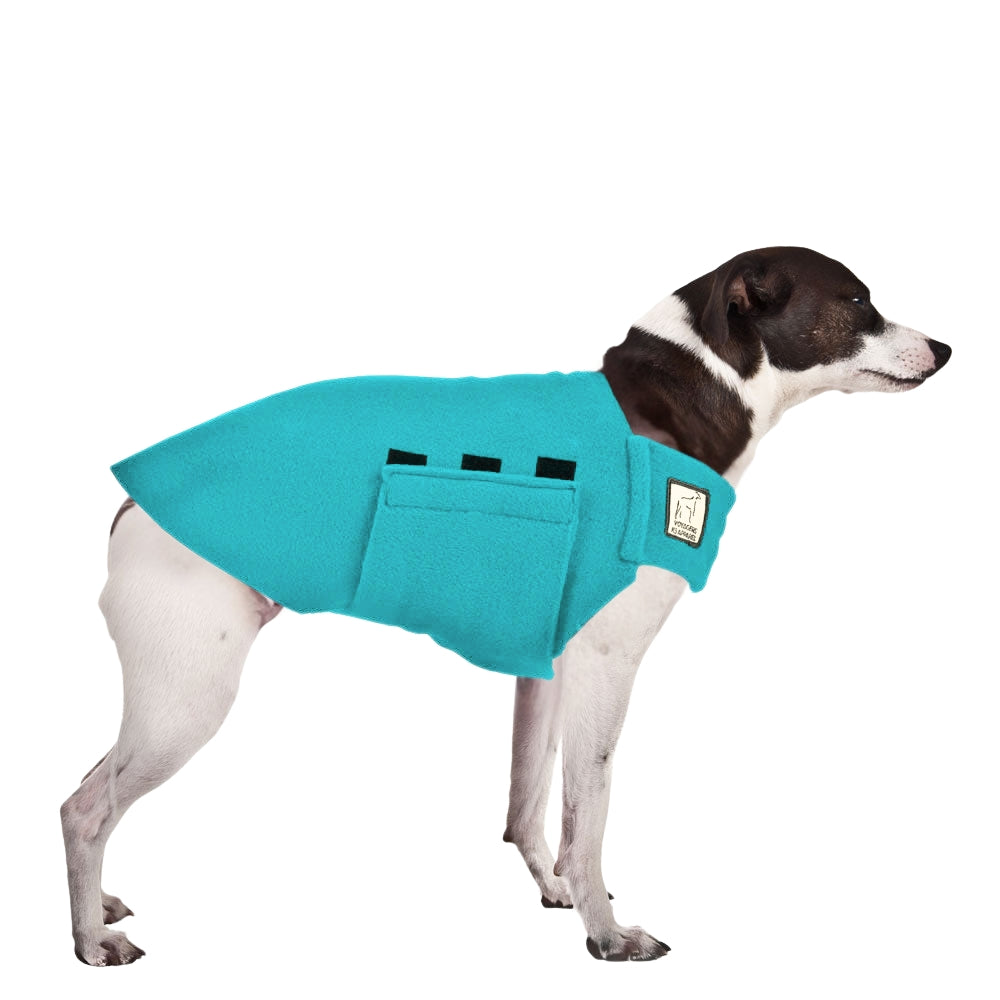 Rat Terrier Tummy Warmer