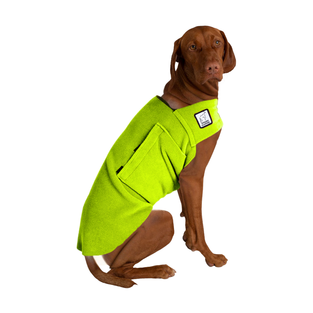 Vizsla Tummy Warmer