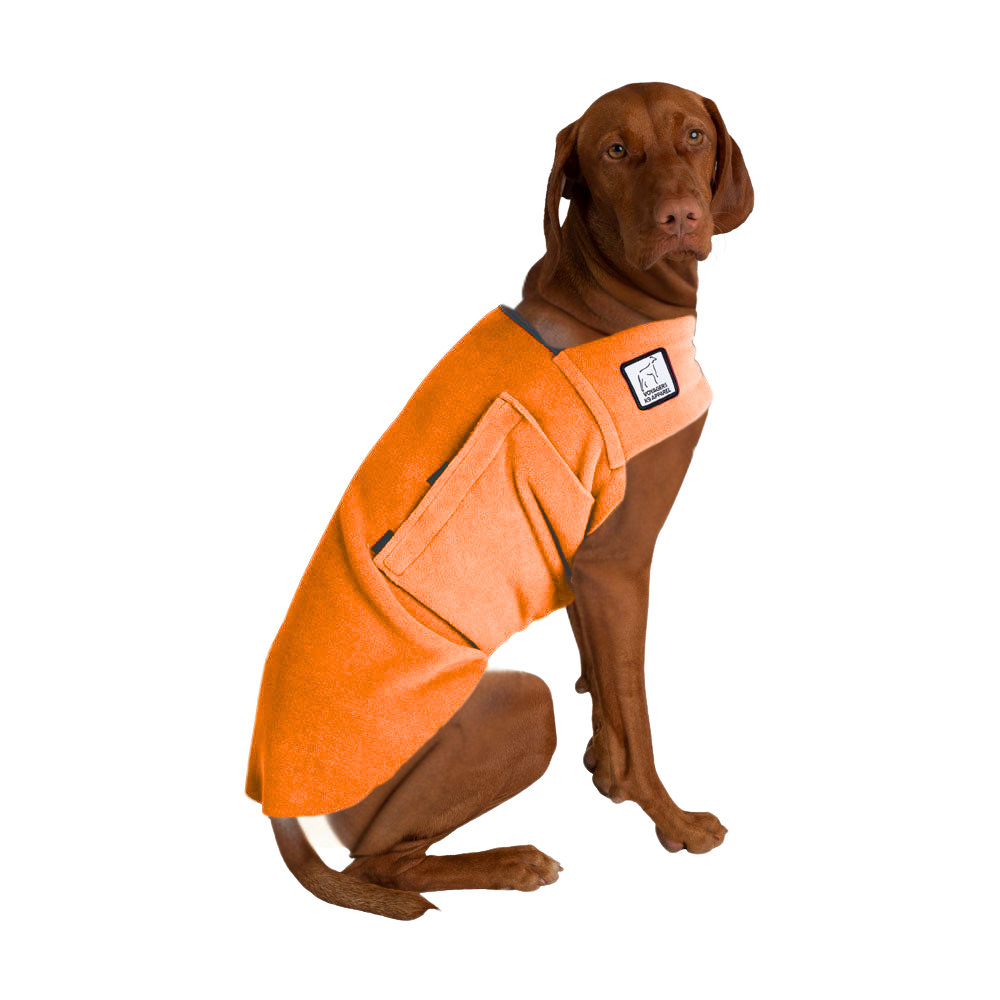Vizsla Tummy Warmer