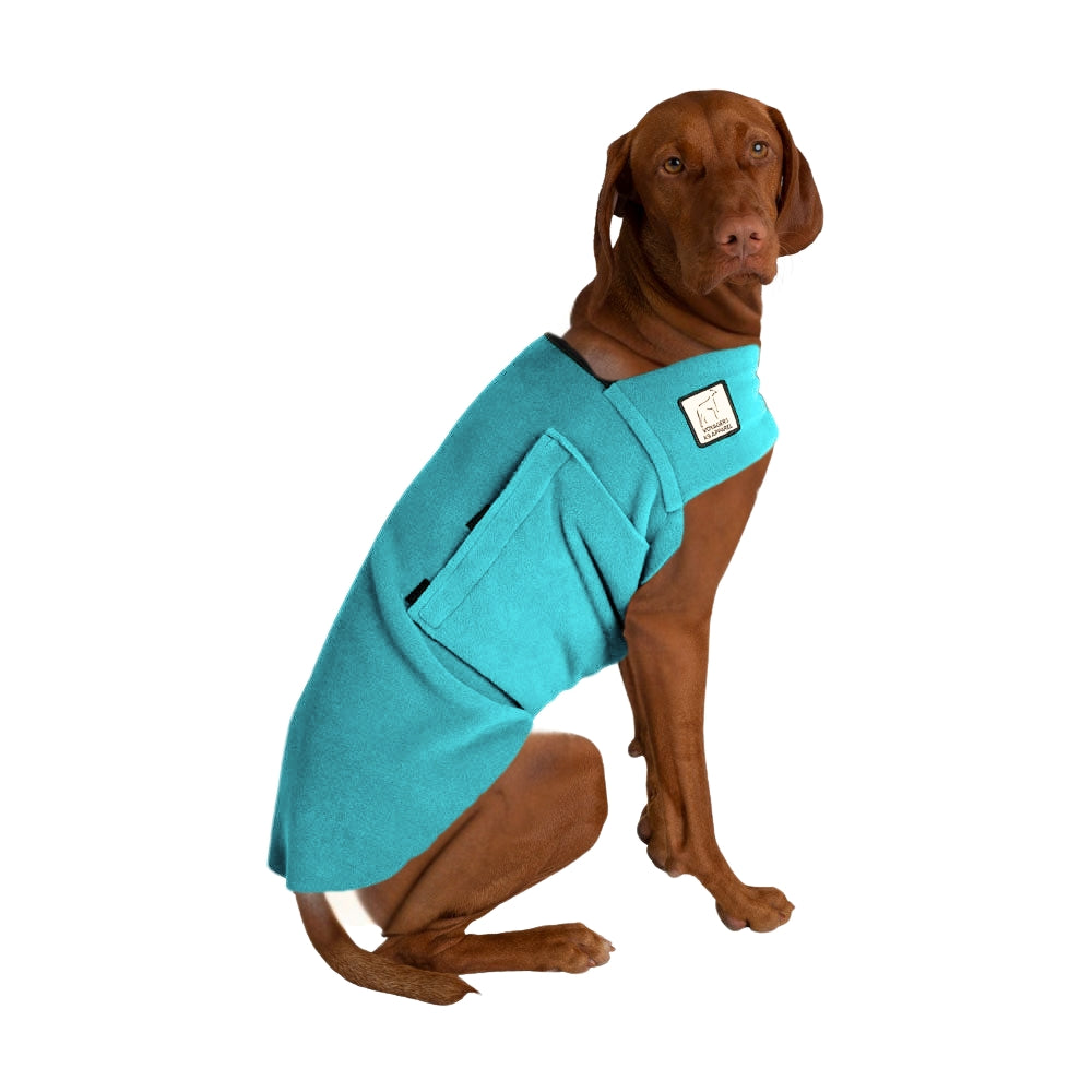 Vizsla Tummy Warmer